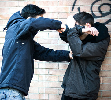 Anger and Aggressiveness in Adults